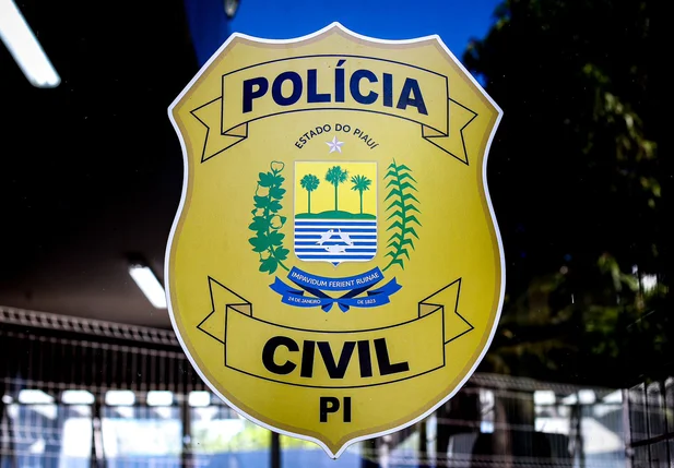 Polícia Civil do Piauí