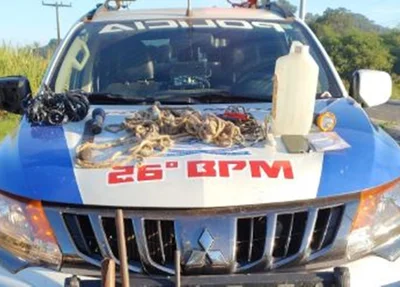 Polícia Militar prendeu grupo suspeito de furtos de animais em União