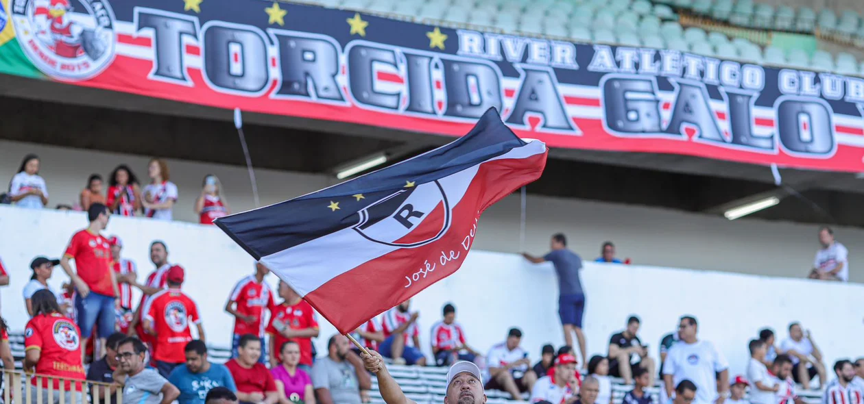 Torcedor ergue a bandeira do Galo