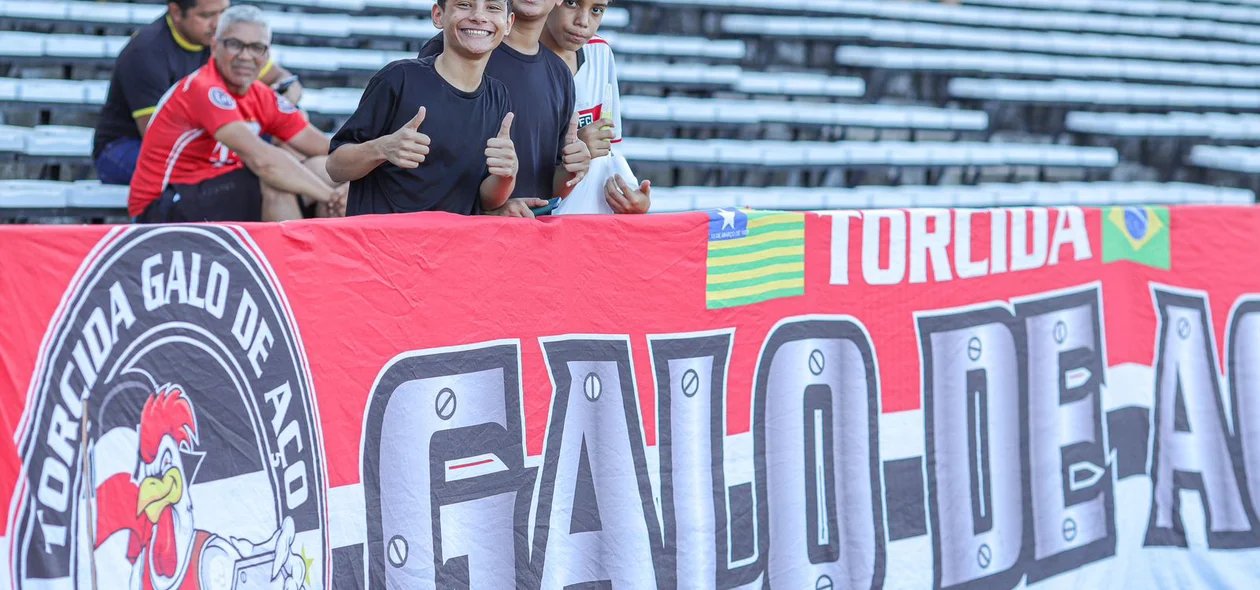 Torcida do Galo