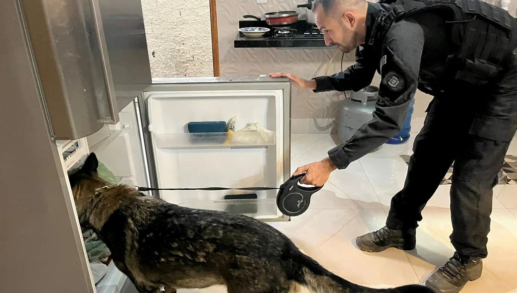Busca por drogas com cão farejador