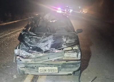 Carro ficou destruído após colidir contra animal