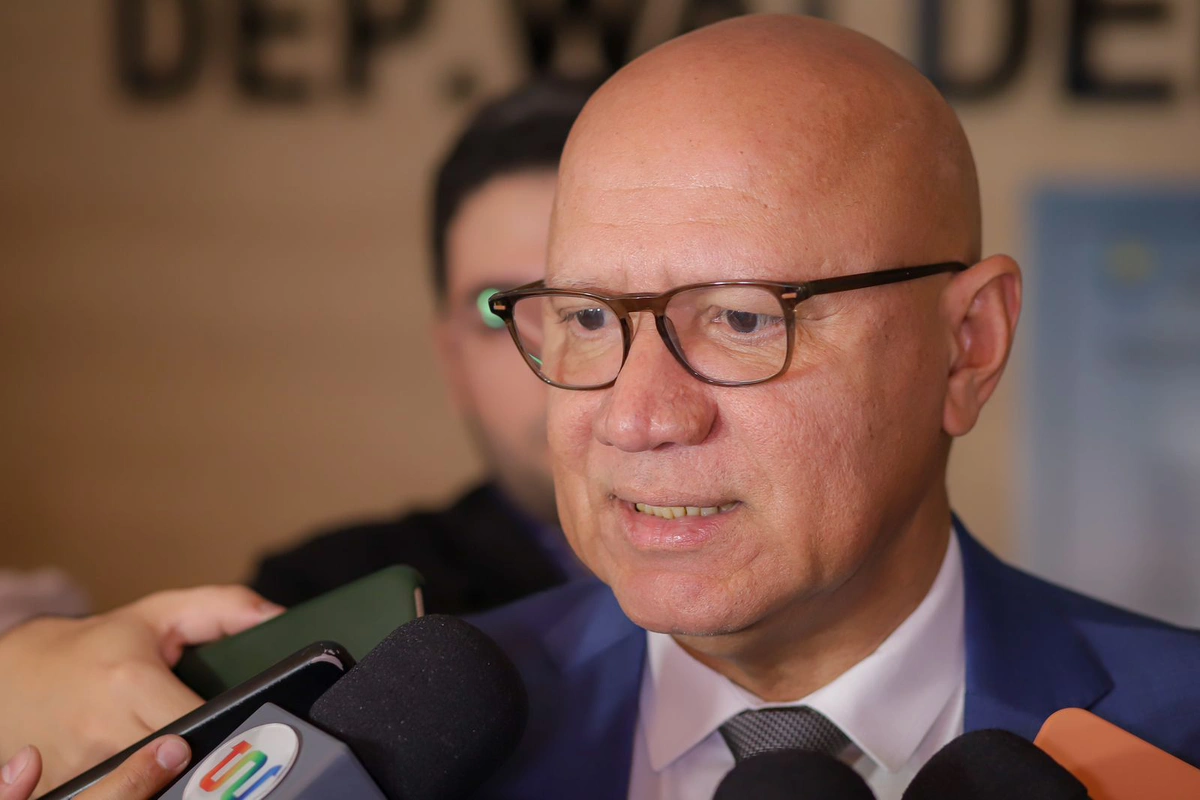 Deputado estadual Franzé Silva