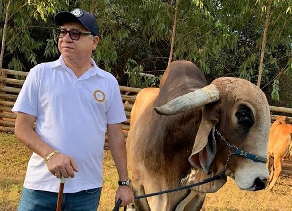 Deputado João Màdison