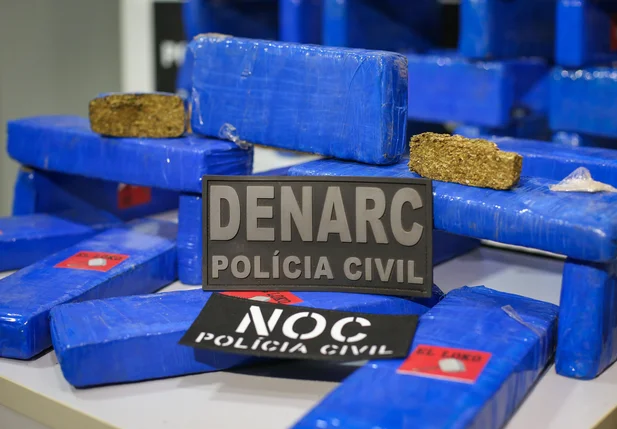 Drogas foram apreendidas na Operação 45 do Denarc
