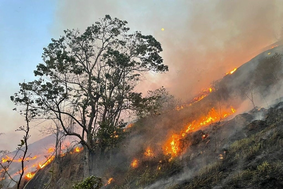 Incêndio florestal em SP