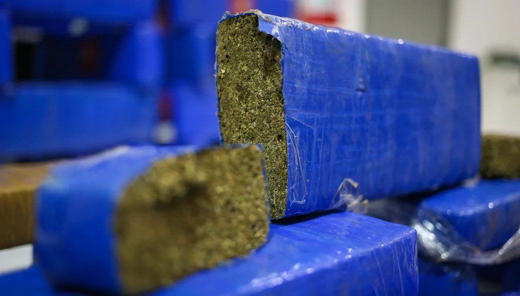 Maconha apreendida na zona sul de Teresina