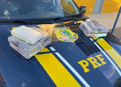 Mulher é presa com quase 1 kg de cocaína dentro de malas em ônibus