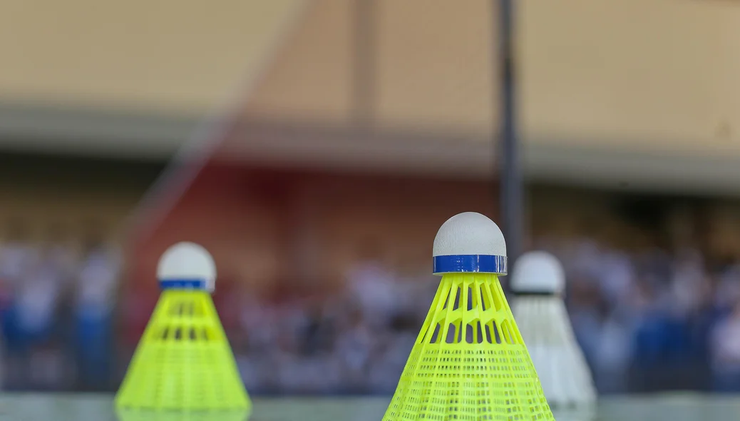 Petecas de Badminton