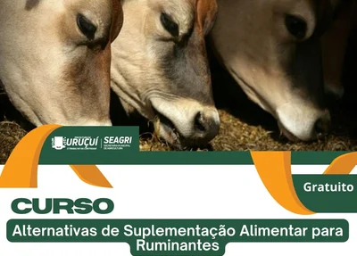 Prefeitura de Uruçuí realiza curso gratuito sobre nutrição animal