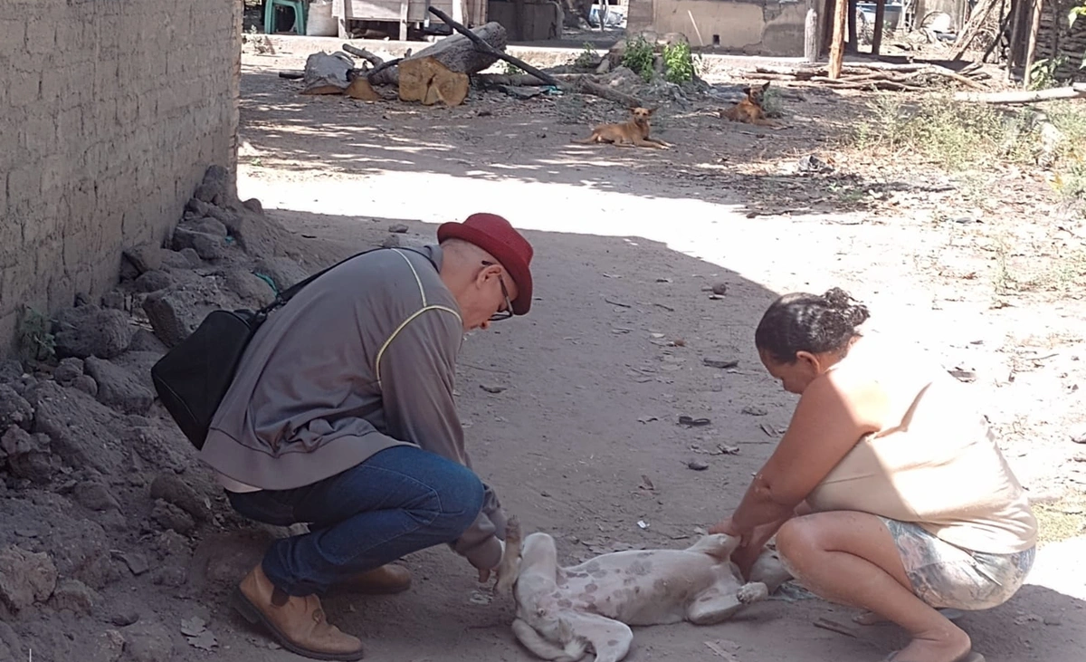 São João do Arraial atinge 95,75% da população canina vacinada