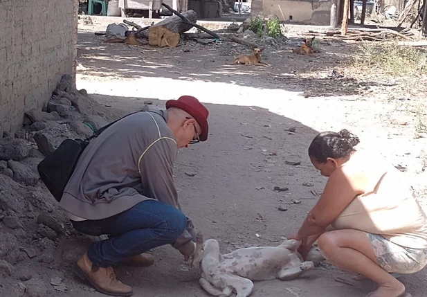 São João do Arraial atinge 95,75% da população canina vacinada