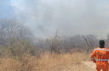 Equipes tiveram dificuldades de debelar o fogo por conta das rajadas de vento