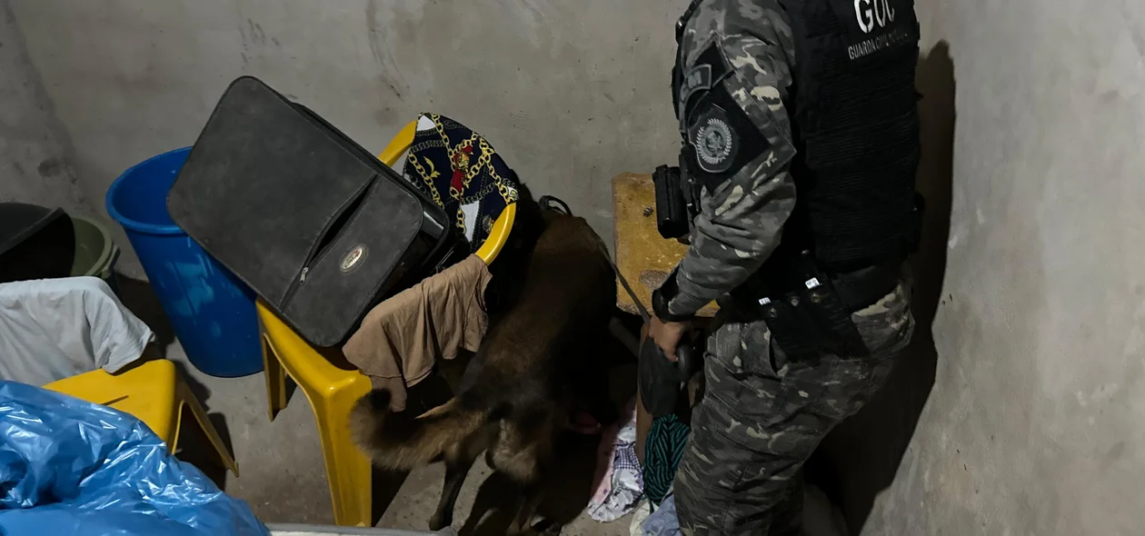 Ação policial