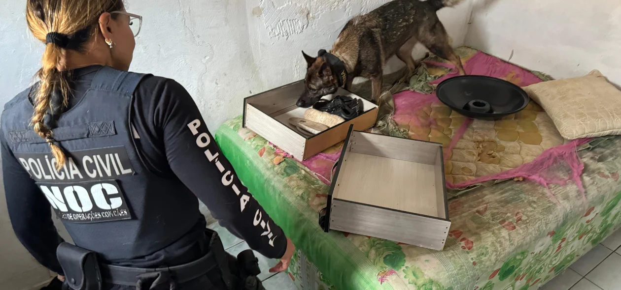 Ação policial contou com apoio do Canil da Polícia Militar