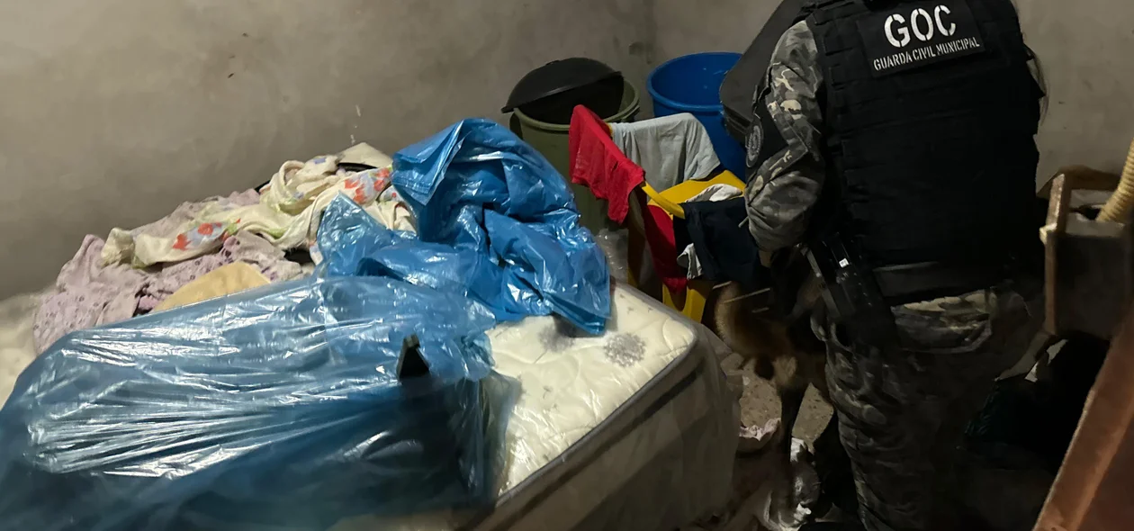 Ação teve apoio do Grupo de Operações com Cães