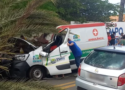 Ambulância é atingida por palmeira na BR 343