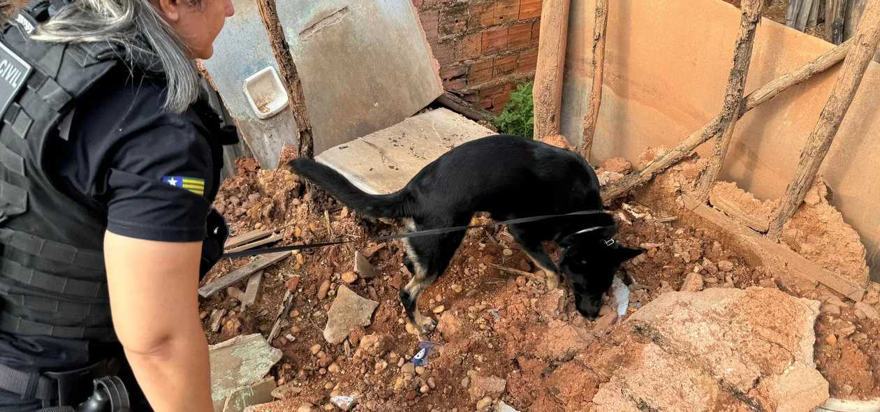 Buscas na zona norte da cidade