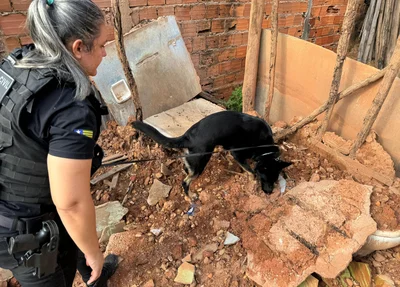Buscas na zona norte da cidade