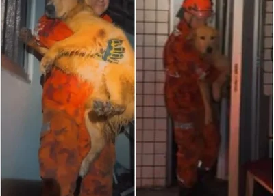 Ccachorro sendo resgatado