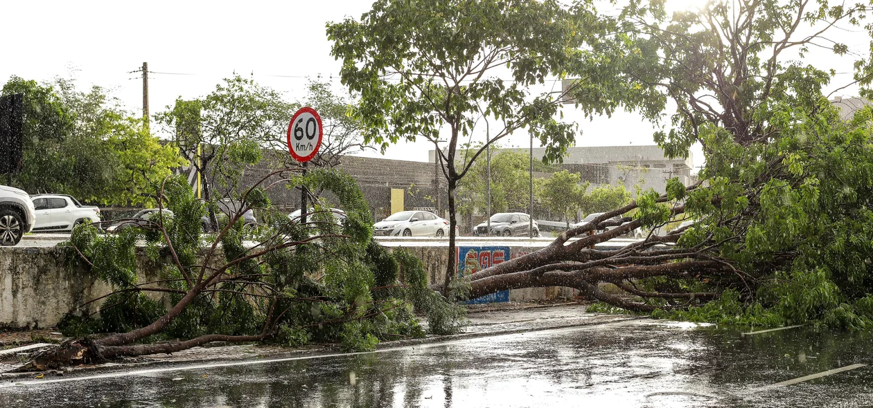 Forte chuva deixou estragos em Teresina
