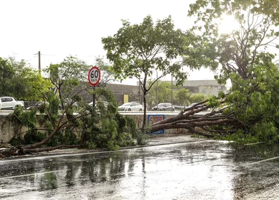 Forte chuva deixou estragos em Teresina