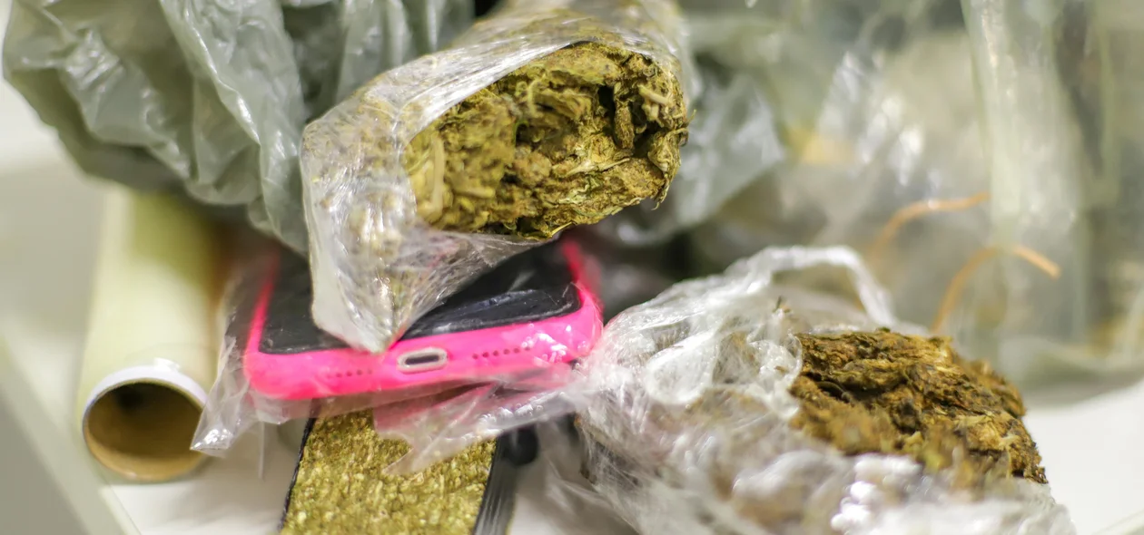 Maconha e skunk foram apreendidos