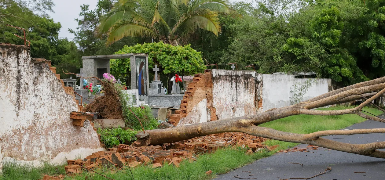 Muro do cemitério foi derrubado pela árvore