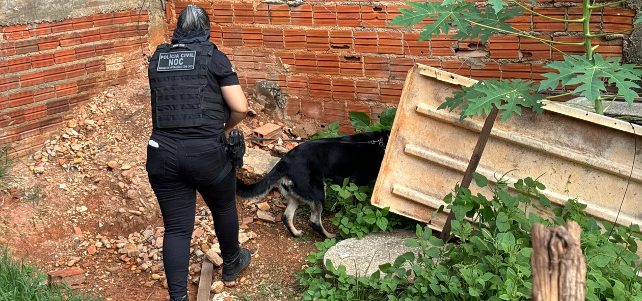 Operação do Denarc