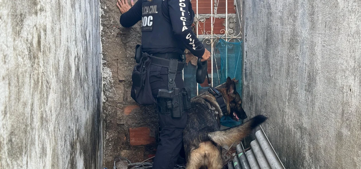 Operação do Denarc no bairro Santo Afonso