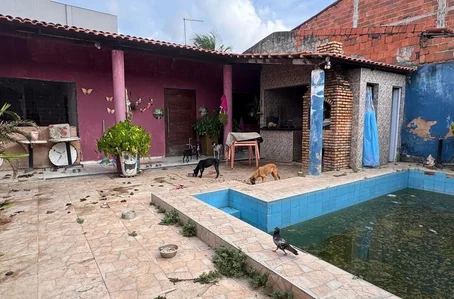 Os policiais identificaram a desnutrição e descuido com os cães