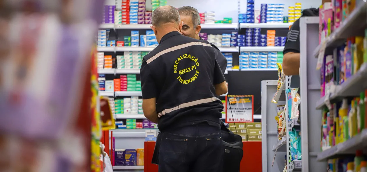 Agente da SEFAZ durante a operação