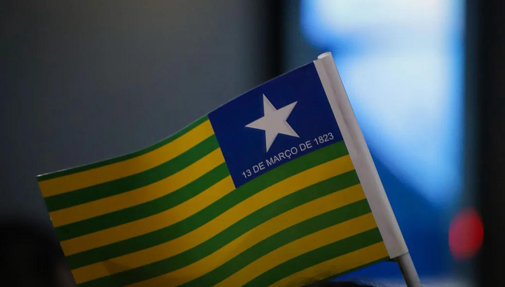 Bandeira do Piauí