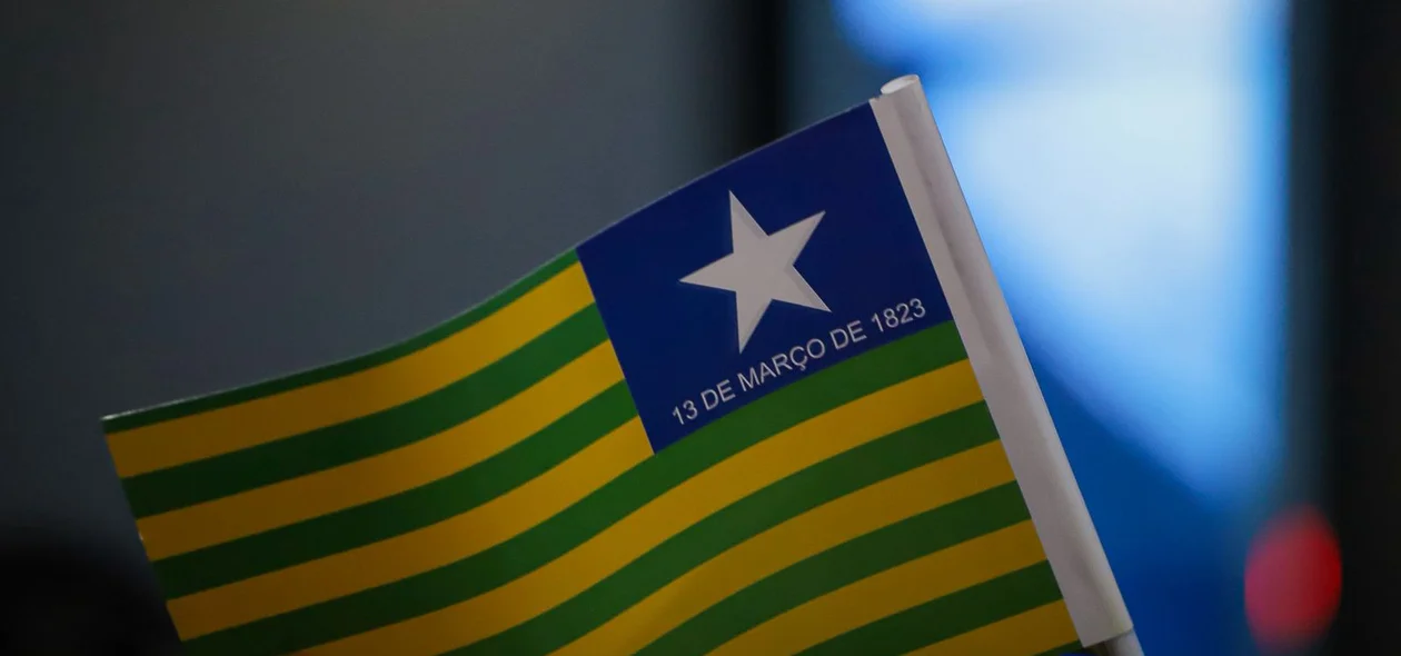Bandeira do Piauí