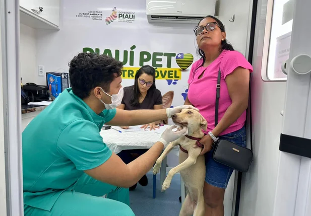 Castramóvel realiza atendimentos em Teresina nesta quarta (15) e quinta (16)