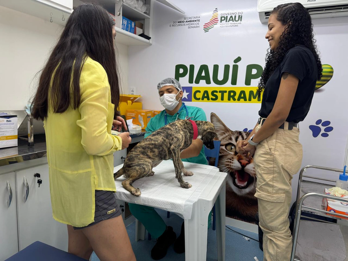 Castramóvel realiza mais de 30 cirurgias em cães e gatos