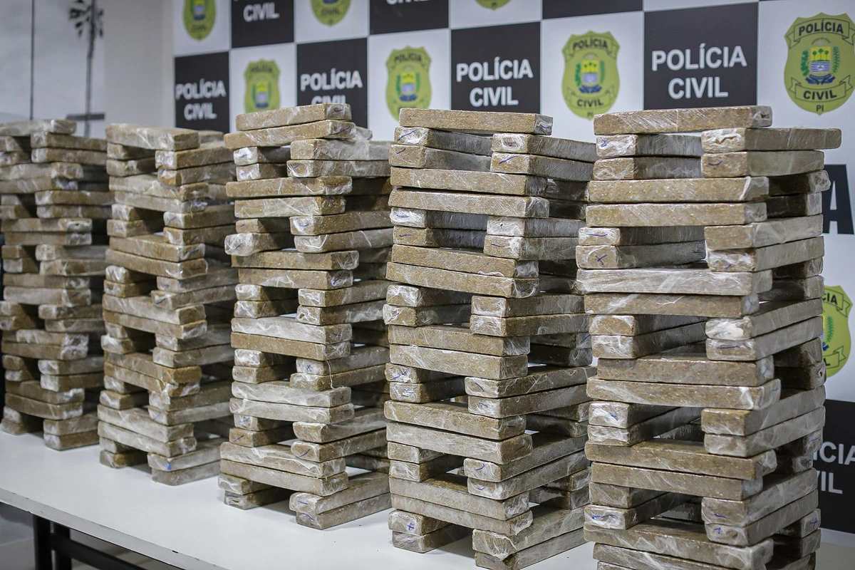 Cerca de 250 kg de skunk foram apreendidos