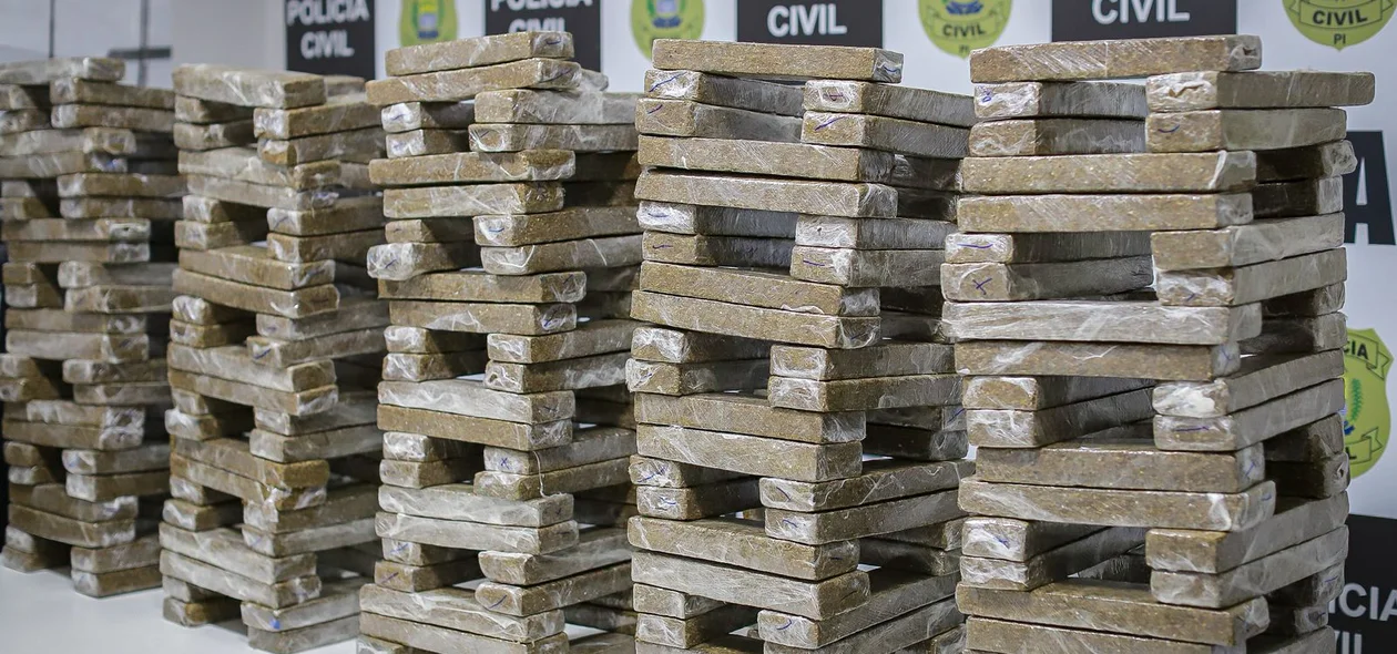 Cerca de 250 kg de skunk foram apreendidos