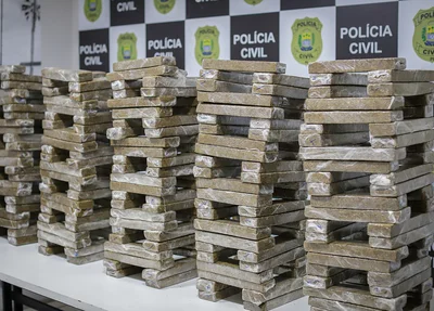 Cerca de 250 kg de skunk foram apreendidos