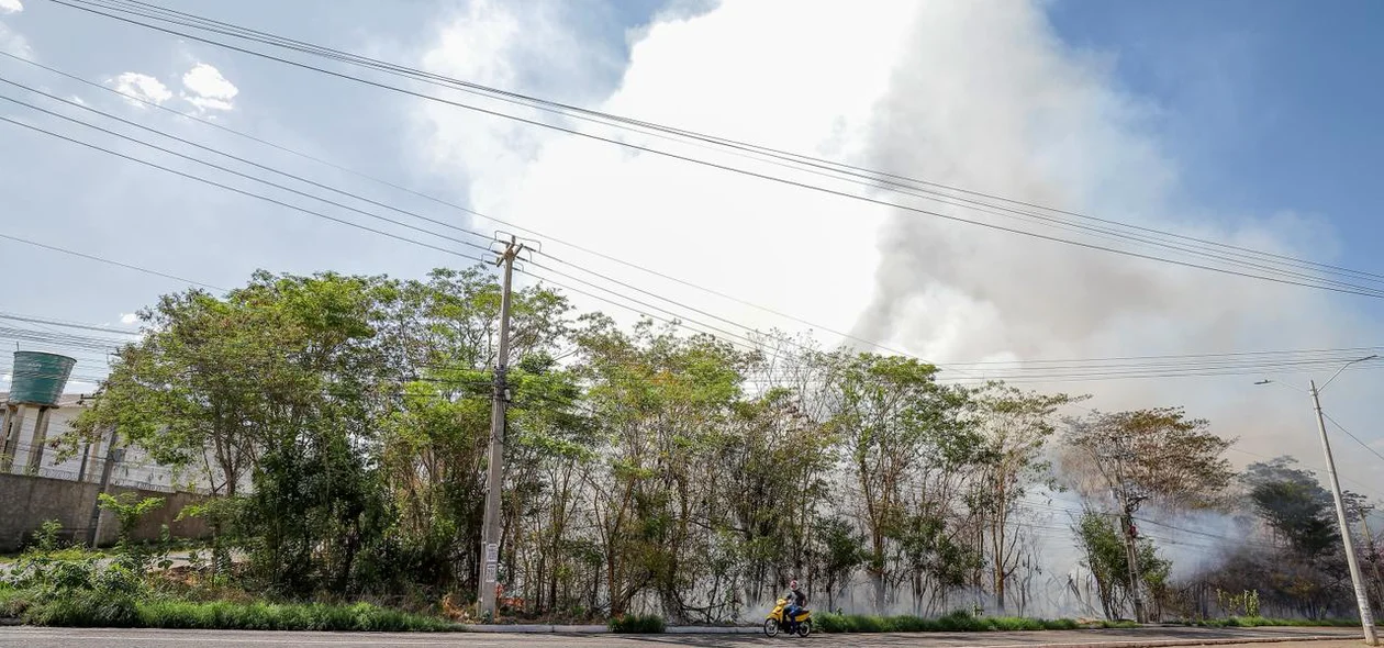 Cortina de fumaça causada por incêndio em vegetação na Avenida Joaquim Nelson