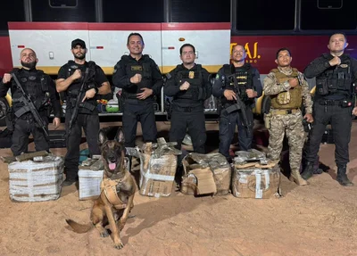 Droga apreendida pelo DRACO e equipes da Polícia Militar do Piauí