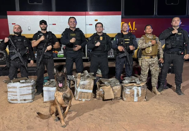 Droga apreendida pelo DRACO e equipes da Polícia Militar do Piauí