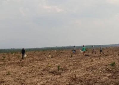 Fazenda no Sul do Piauí