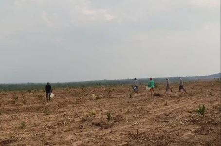 Fazenda no Sul do Piauí