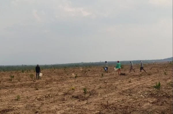 Fazenda no Sul do Piauí