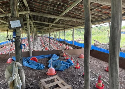 Granja situada em Altos