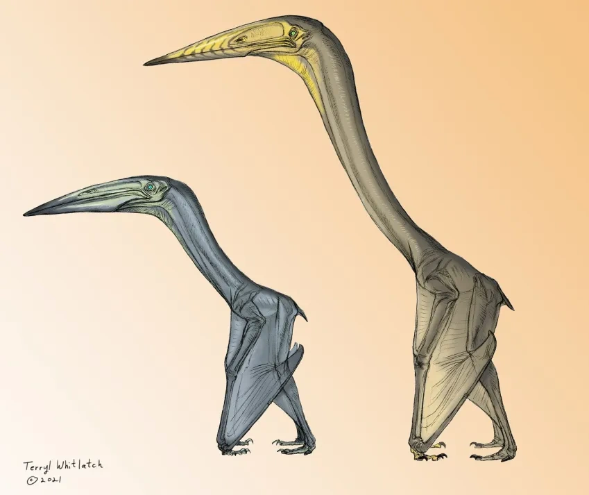 Ilustração de como seriam os pterossauros