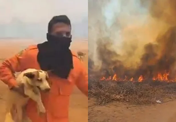 Imagens registradas mostram o momento que bombeiro resgata cachorro