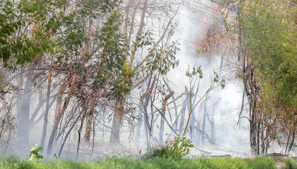 Incêndio em vegetação na Avenida Joaquim Nelson foi registrado neste sábado