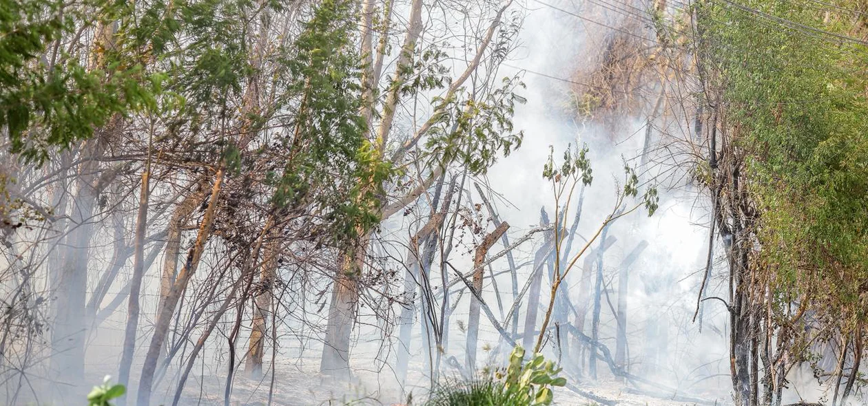 Incêndio em vegetação na Avenida Joaquim Nelson foi registrado neste sábado
